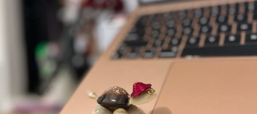 remote jobs for beginners