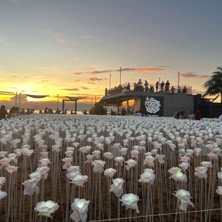 10,000 Roses in Cebu: A Stunning Instagram-Worthy Destination ...