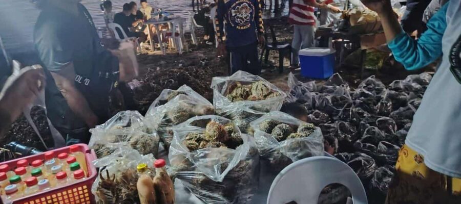 seafood trip in catarman, liloan