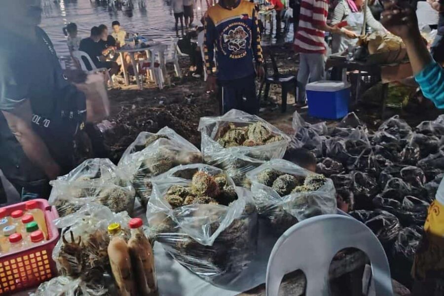 seafood trip in catarman, liloan