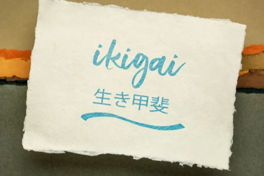 rethinking ikigai